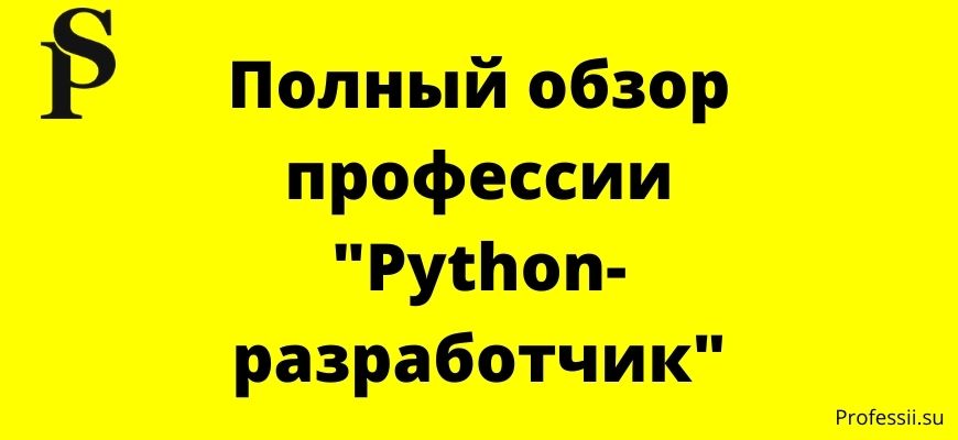 Программист Python: что делает, что нужно знать, где учиться на эту профессию с нуля, путь Пайтон-разработчика, работа и перспективы